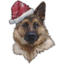 sharik_2018_ny_00235b73008e7fb80784e877d43de981