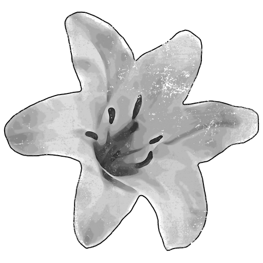 simple_22_lilly_c206a000f590f7585c83cff057fa5bc9