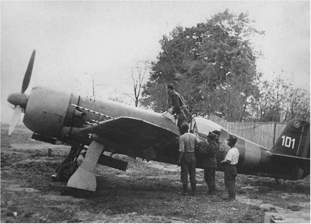iar81_1