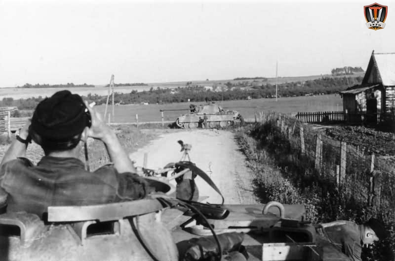 Panthers lookout-min